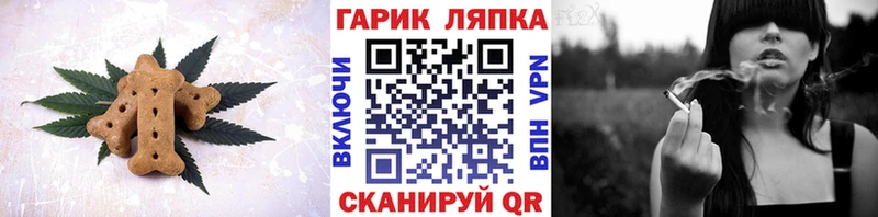 Купить закладки  Волосово  Cannafood марихуана 