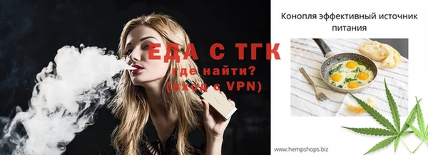гашик Козельск