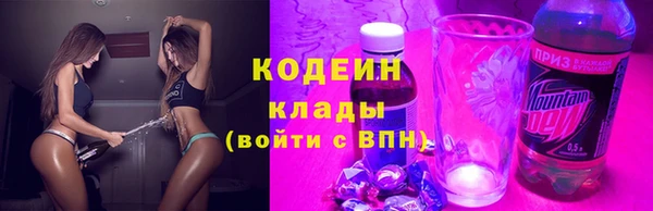 гашик Козельск