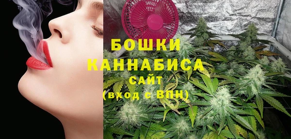 гашик Козельск