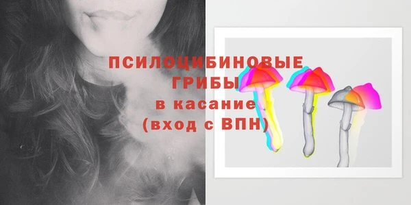 гашик Козельск