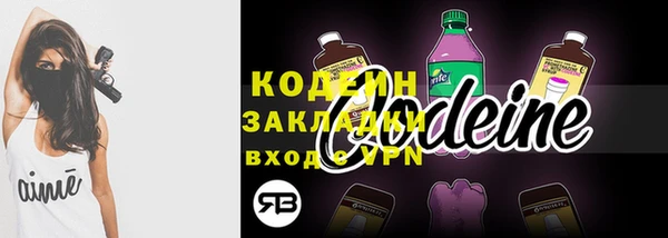 гашик Козельск