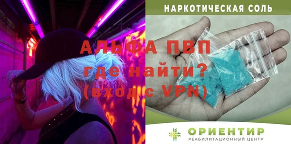 гашик Козельск