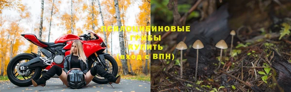 гашик Козельск