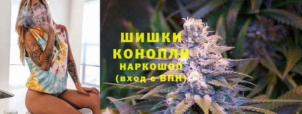 гашик Козельск