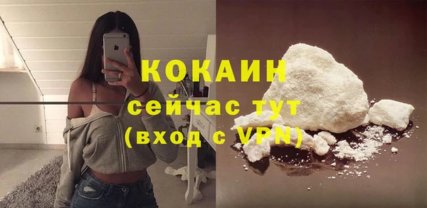 гашик Козельск