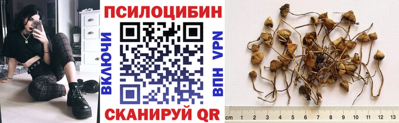 Псилоцибиновые грибы Psilocybine cubensis  Купить  Волосово 
