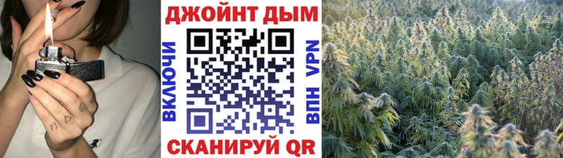 Купить где  Волосово  МАРИХУАНА SATIVA & INDICA 